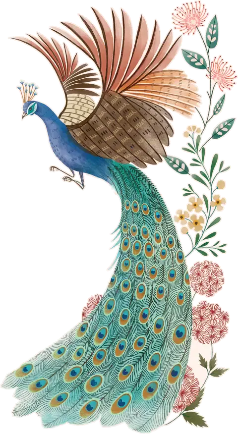 A stylistic peacock